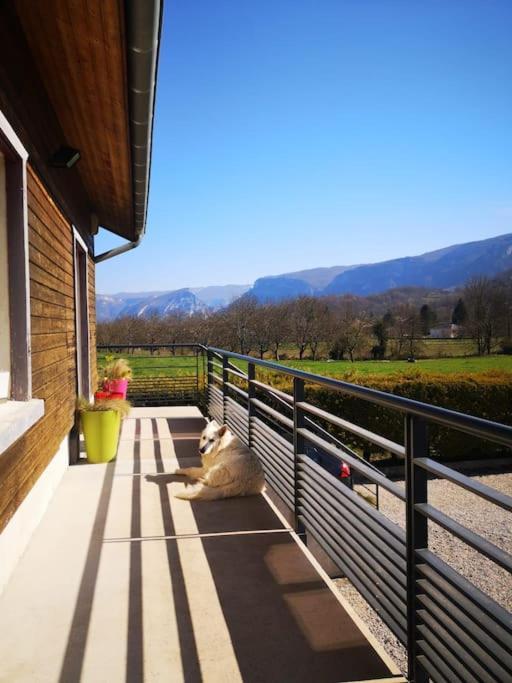Balcons Du Royans.Logement Entier Piscine Saint-Jean-en-Royans Exterior foto